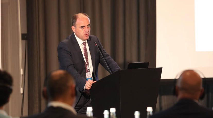 დავით ნარმანია განახლებადი ენერგიის ინვესტიციების შესახებ კონფერენციაზე სიტყვით წარდგა