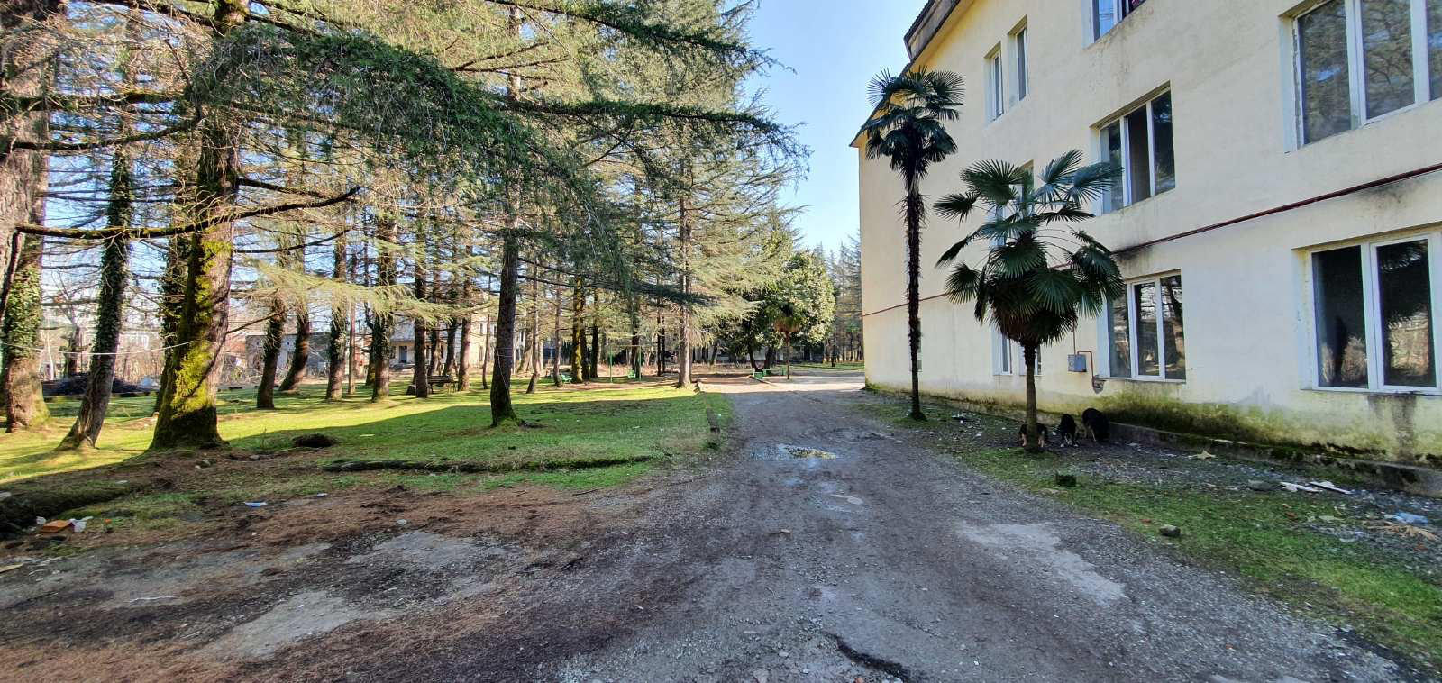 ომბუდსმენის განცხადებით, გორის, ოზურგეთისა და ქუთაისის უსახლკარო პირთა სოციალურ საცხოვრისებში არსებული პირობები მინიმალურადაც კი ვერ აკმაყოფილებს სათანადო საცხოვრებლით უზრუნველყოფის უფლებას