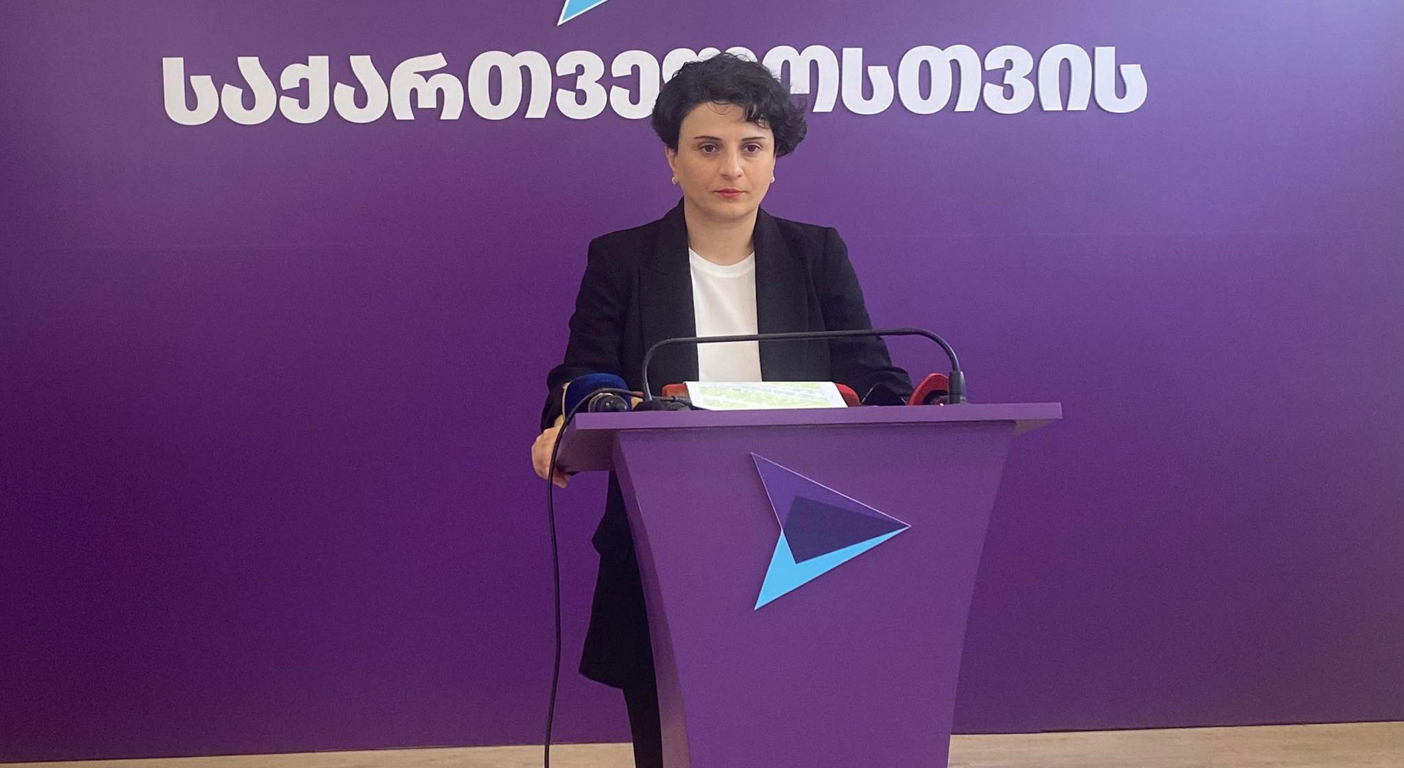 ნათია მეზვრიშვილი - დღეს მთავარია კომპრომისი კანდიდატის სტატუსის მისაღებად - მიზანშეწონილია, პროცესში საერთაშორისო პარტნიორების და პრეზიდენტის ინსტიტუტის რაიმე ფორმით ჩართულობა