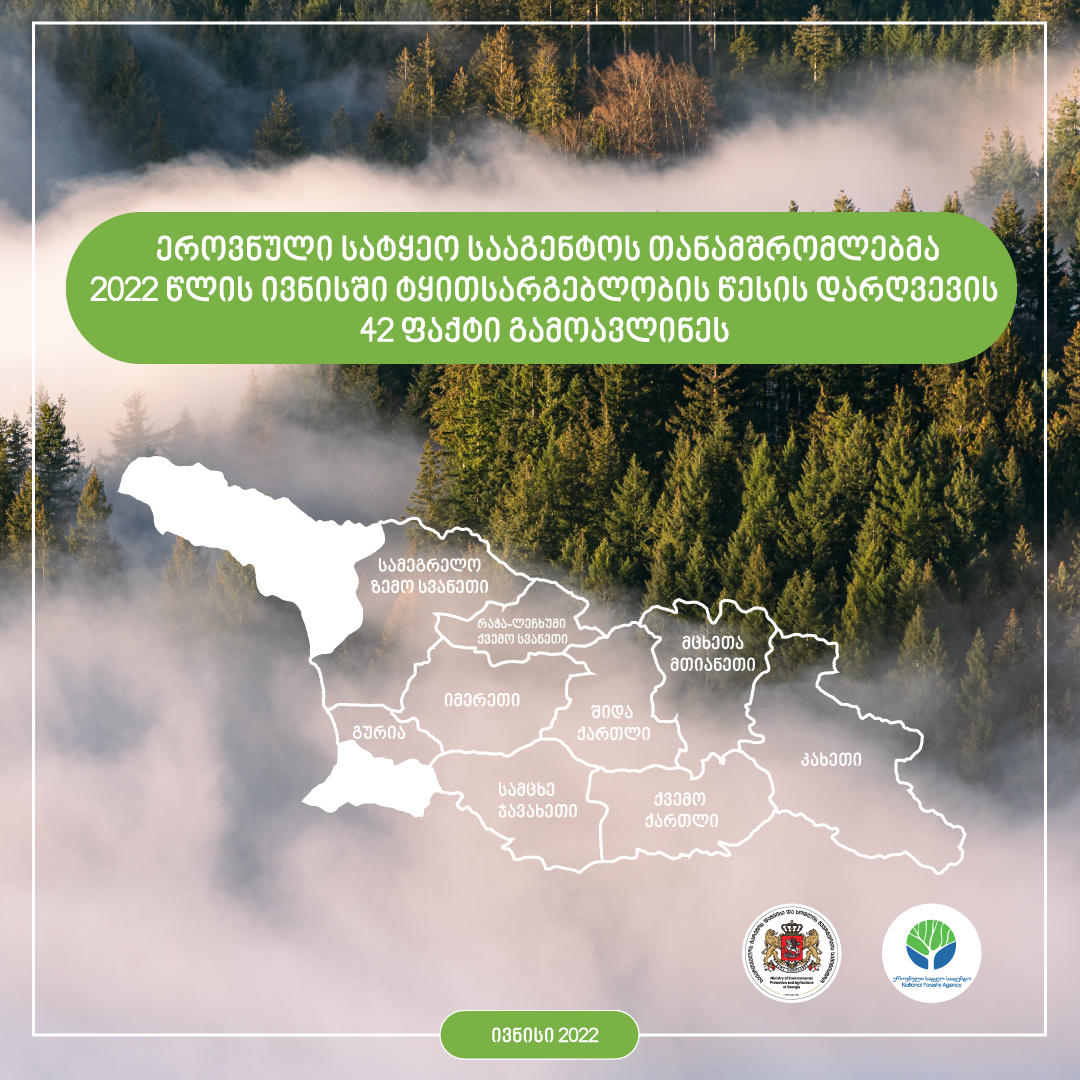 ეროვნული სატყეო სააგენტოს თანამშრომლებმა, ივნისის თვეში, ტყითსარგებლობის წესის დარღვევის 42 ფაქტი გამოავლინეს