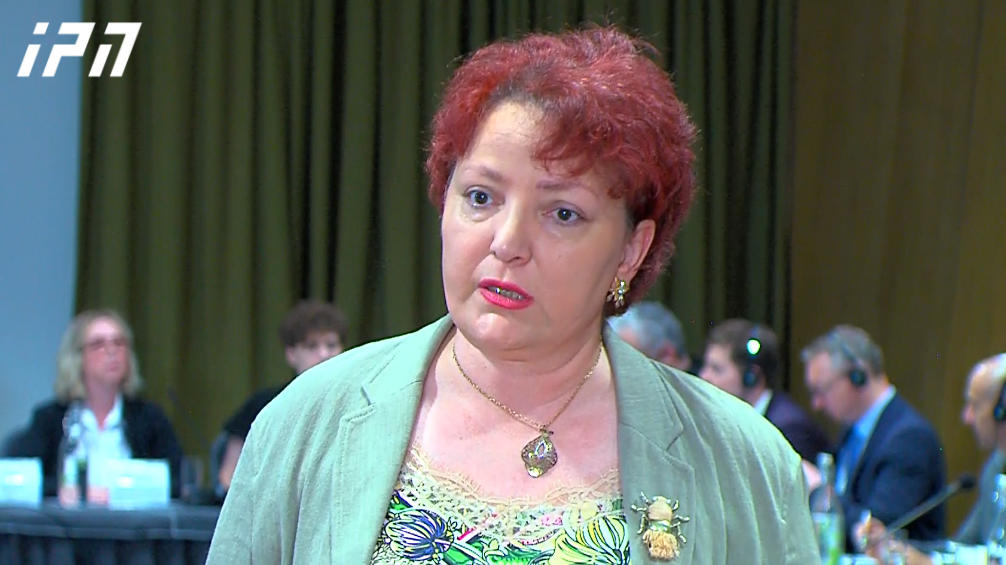 თინა ხიდაშელის განცხადებით, მოძრაობა „ხალხის ძალის“ კანონპროექტის მიღება მმართველი პარტიის „ანტი-ევროკავშირული და იზოლაციონისტური პოლიტიკის ყველაზე კაშკაშა დასტური იქნება“