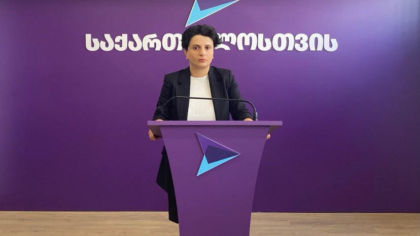 ნათია მეზვრიშვილი - სენაკში ცესკომ იმოქმედა ხელისუფლების ინტერესით, რაც მიზანმიმართულად აზიანებს საქართველოს ევროინტეგრაციის პროცესს