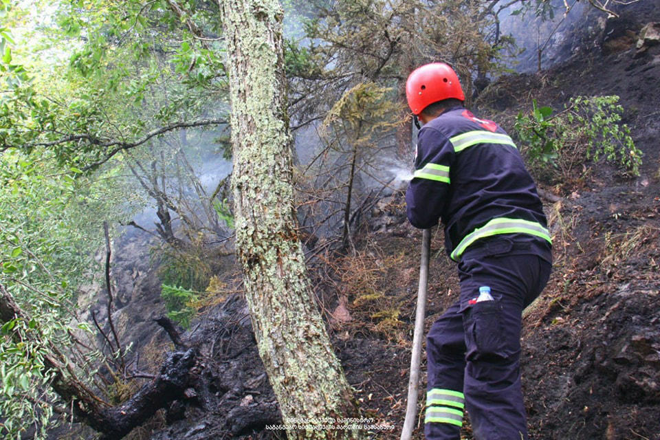 ფიტარეთის ტერიტორიაზე ხანძარი ლიკვიდირებულია