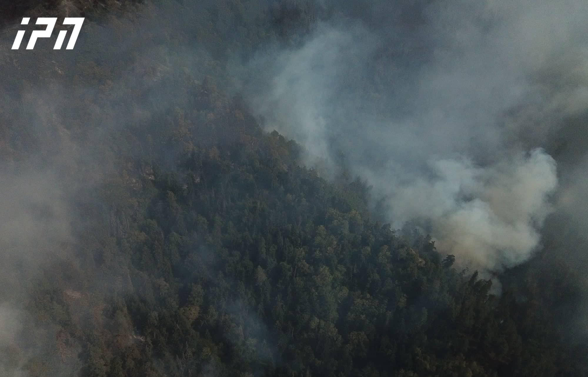 Specialized firefighting aircrafts of the Republic of Turkey are involved in fire extinguishing works in Borjomi municipality