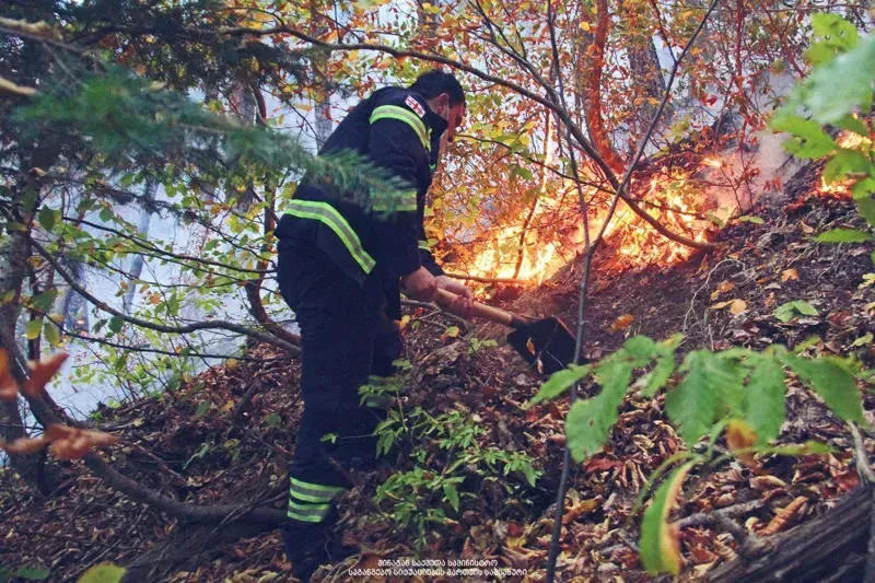 თბილისის ზღვაზე, ზოოპარკის მიმდებარე ტერიტორიაზე ბალახს ცეცხლი გაუჩნდა