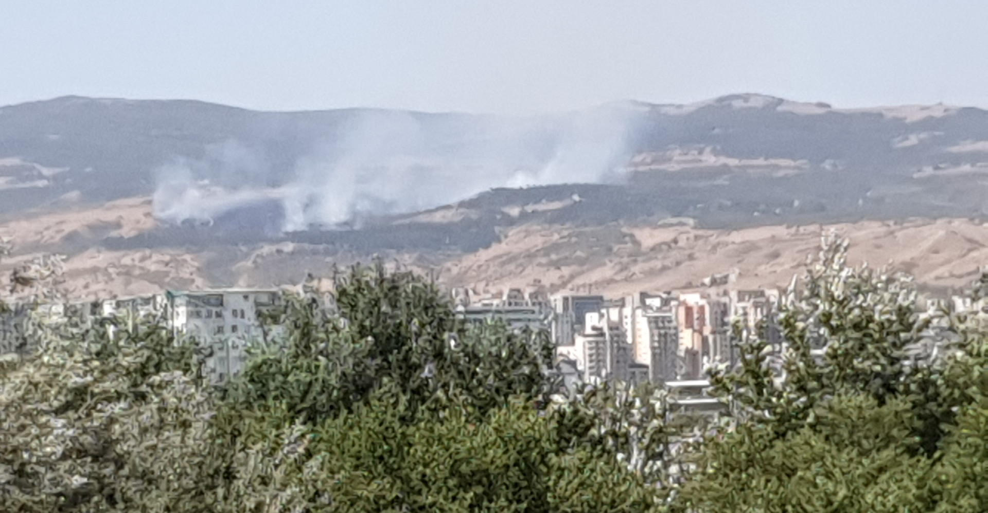 მუხადგვერდის სასაფლაოს ტერიტორიაზე ბალახს ცეცხლი გაუჩნდა