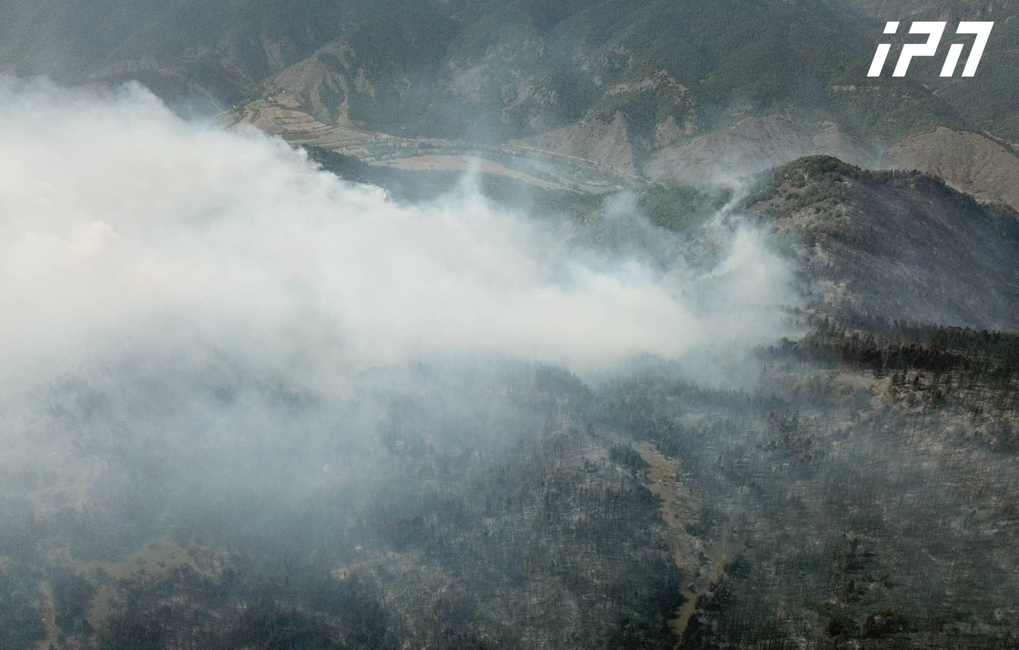 ბორჯომის ტყეში ხანძარია