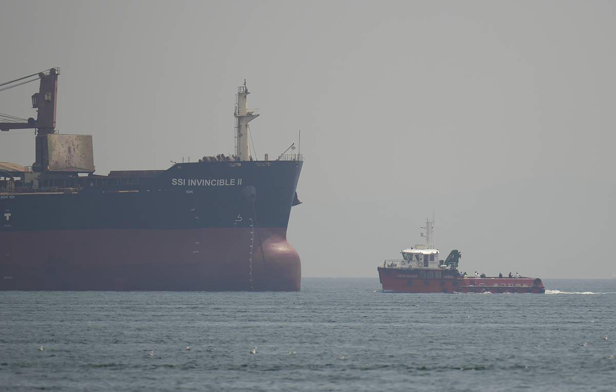 8 თვეში, გემების მხრიდან შავი ზღვის დაბინძურების 11 ფაქტი გამოვლინდა - თითოეული 65 000 ლარით დაჯარიმდა