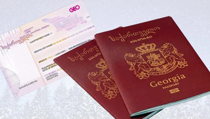 From December 1, 2020 to July 12, 2023, Georgian citizenship was granted to 11,007 people