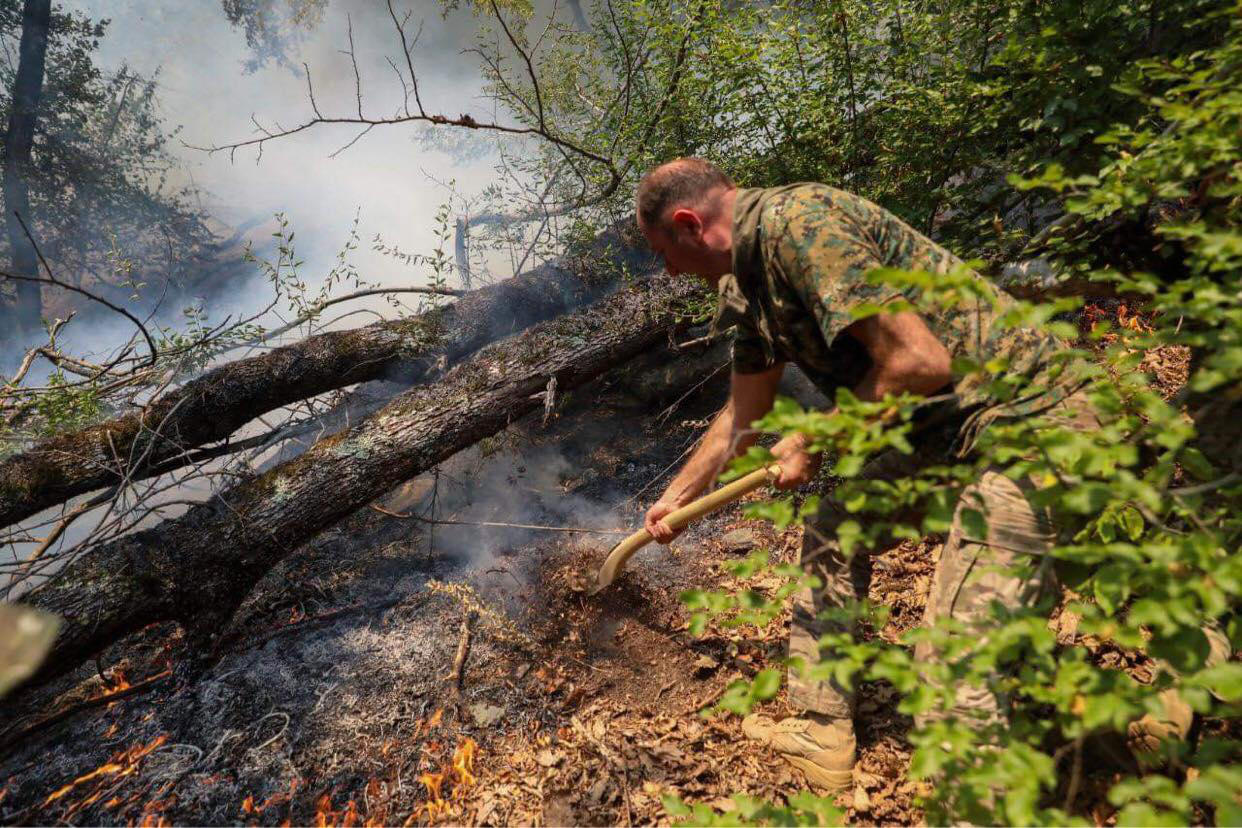 ჩოხატაურის მუნიციპალიტეტში, ტყეში გაჩენილი ხანძარი ლიკვიდირებულია
