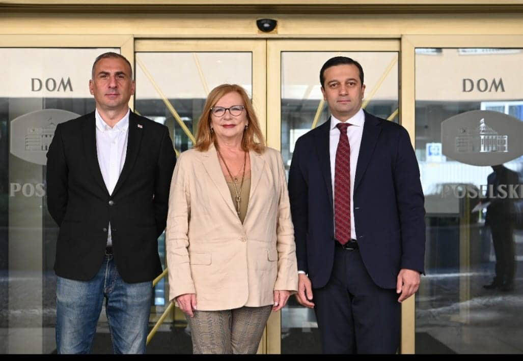 „მოქალაქეების“ საპარლამენტო დელეგაცია შეხვედრებს პოლონეთის სეიმში მართავს