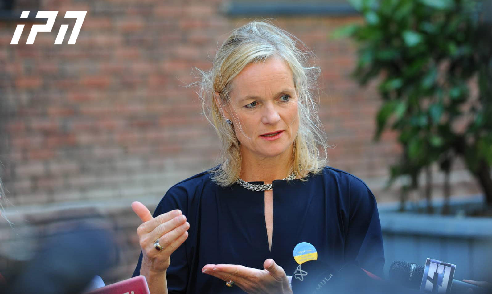 According to Viola von Cramon, de-oligarchization is necessary for all countries that want to join the EU and Georgia is facing this problem