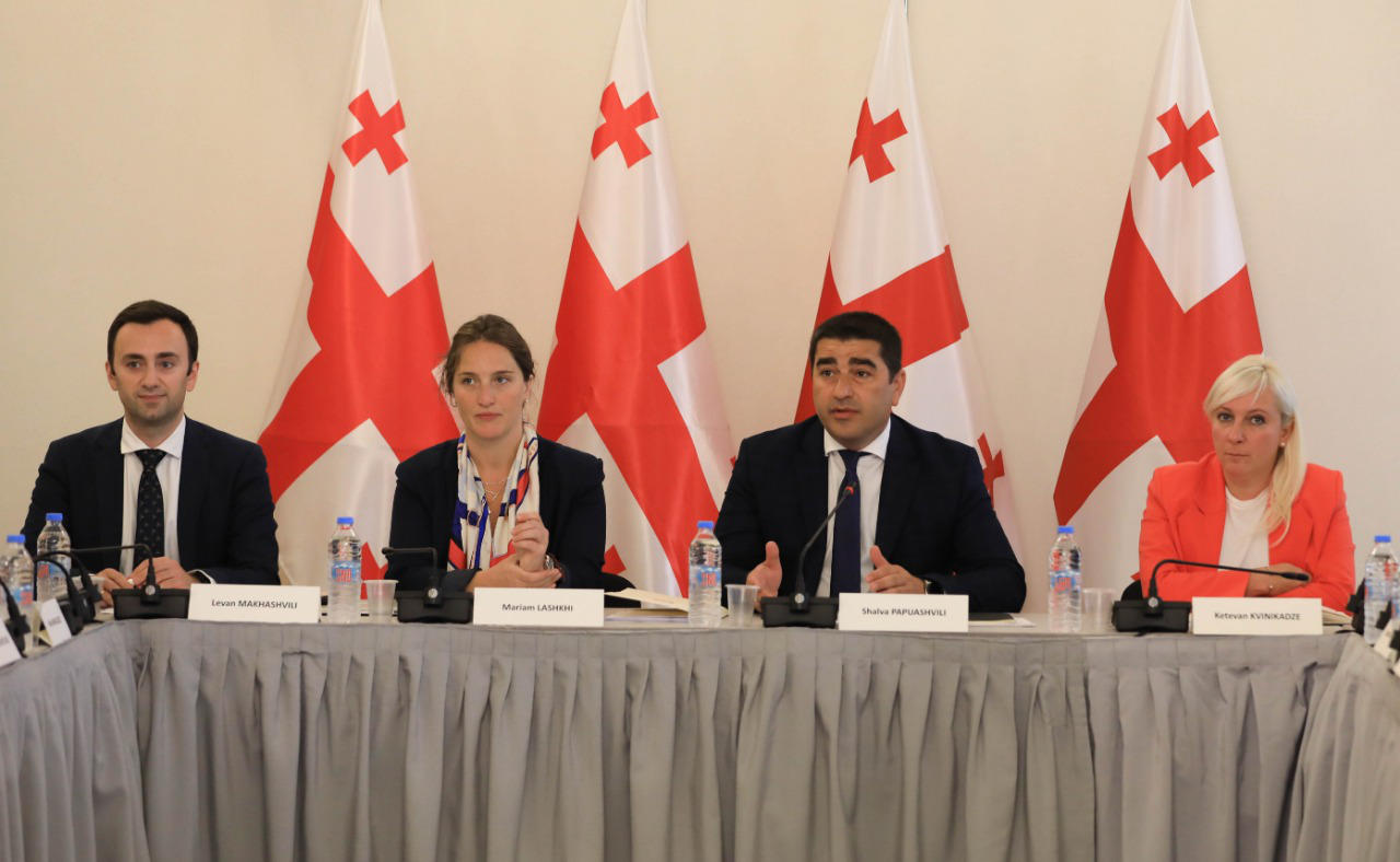 პარლამენტის თავმჯდომარე დონორი ორგანიზაციების წარმომადგენლებს შეხვდა