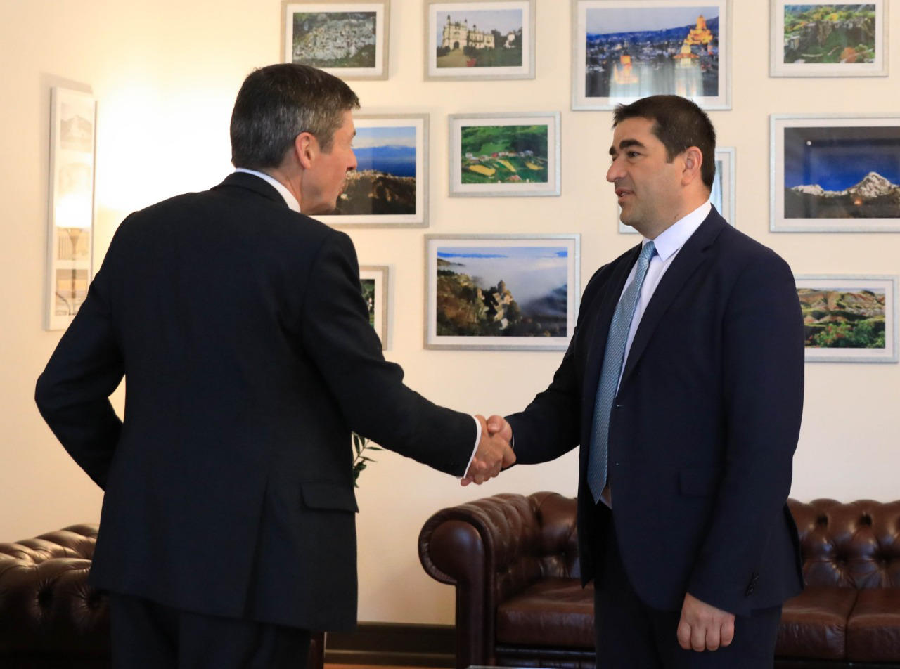 პარლამენტის თავმჯდომარემ ეროვნულ დემოკრატიული ინსტიტუტის საერთაშორისო ექსპერტებთან საპარლამენტო ზედამხედველობის პრაქტიკული სახელმძღვანელო განიხილა
