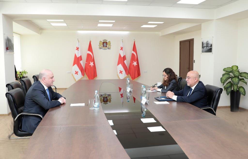ზურაბ აზარაშვილი თურქეთის ელჩს შეხვდა