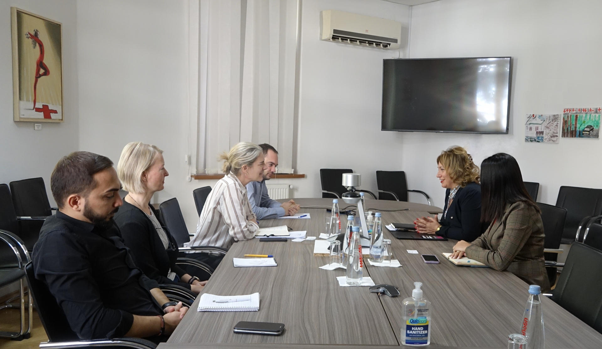 პერსონალურ მონაცემთა დაცვის სამსახურის უფროსი ლელა ჯანაშვილი საქართველოში წითელი ჯვრის საერთაშორისო კომიტეტის დელეგაციის ხელმძღვანელს შეხვდა