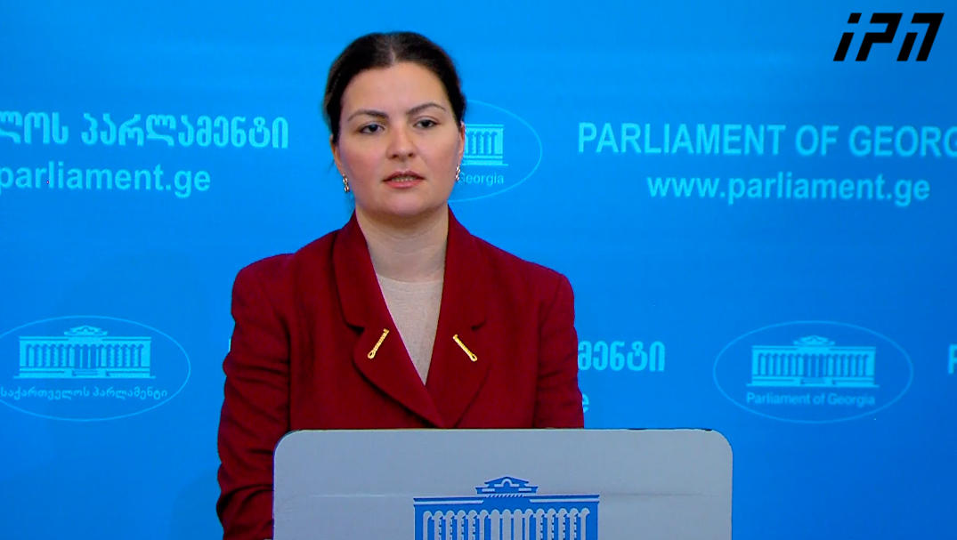 ანა ნაცვლიშვილი - უმრავლესობის მიერ წარმოდგენილი კანონპროექტი ვერ ჩაითვლება ევრორეკომენდაციის შესრულებად - ახალ სსიპ-ს არ ექნება კორუფციის წინააღმდეგ ბრძოლის რეალური მანდატი