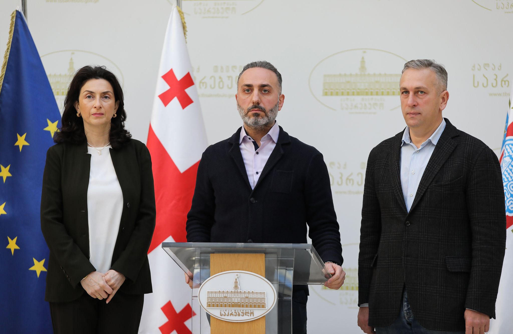 საკრებულოს ფრაქციამ „თბილისი საქართველოსთვის“  მოქალაქეებს ანგარიში წარუდგინა
