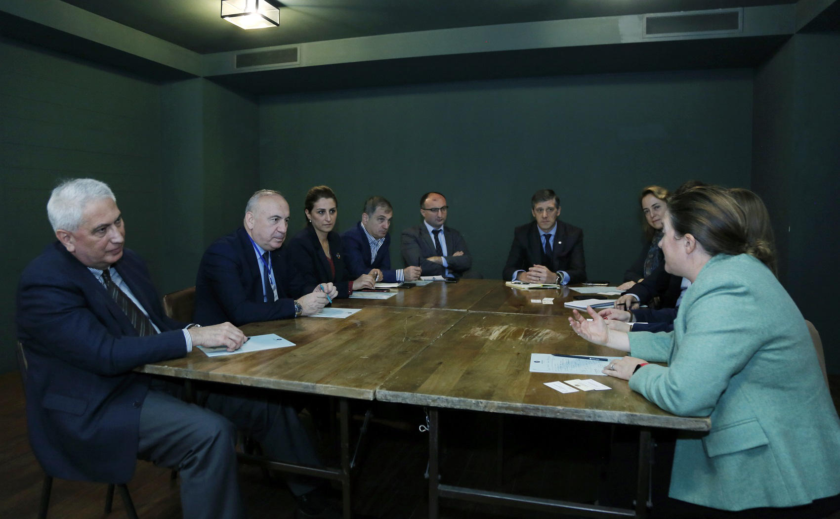 მწვანე ეკონომიკისა და მდგრადი საჯარო შესყიდვების შესახებ შეხვედრა გაიმართა