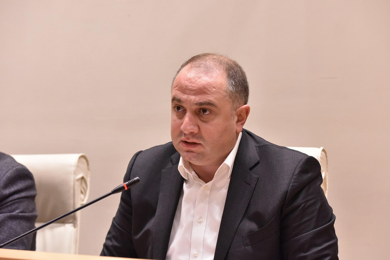 ირაკლი ჩიქოვანი - ვერც მე, ვერც ქალბატონ თინას, ვერც ბატონ ირაკლის ვერ მივაწერ იმ იდეას, რომ ჩვენს ქვეყანას სჭირდება დაცული ცა