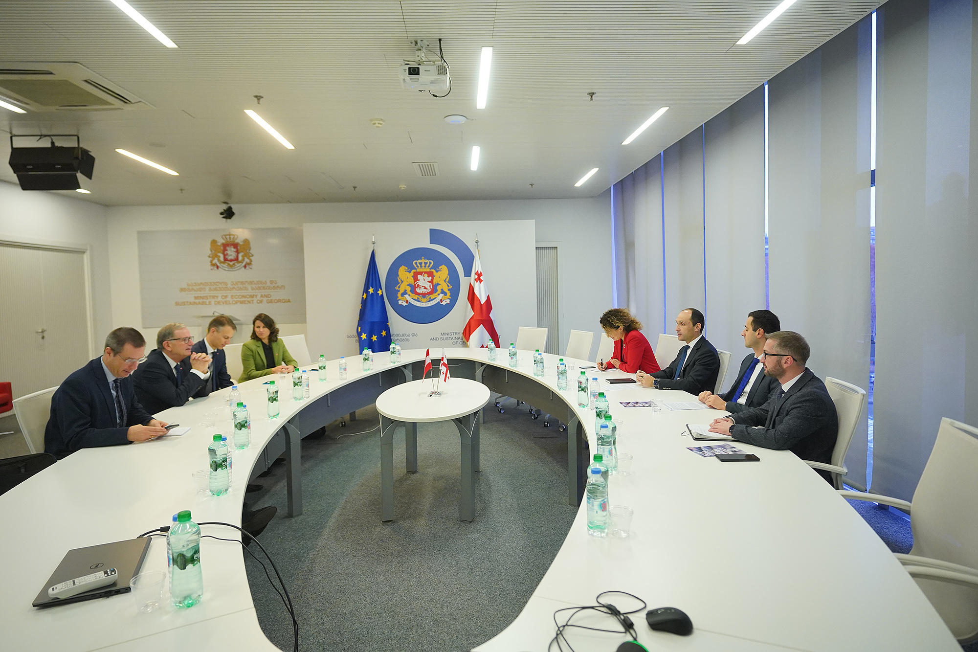 ლევან დავითაშვილი ავსტრიის ელჩს თომას მიულმანს შეხვდა