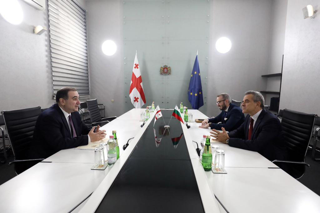 მიხეილ ჩხენკელმა ბულგარეთის რესპუბლიკის საგანგებო და სრულუფლებიან ელჩს უმასპინძლა