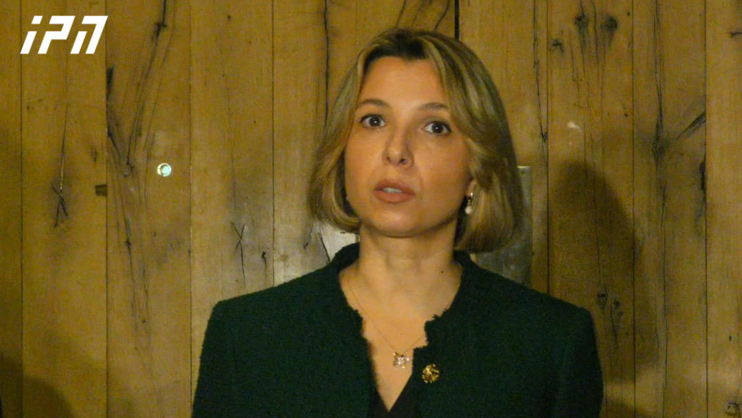ნინო ლომჯარია - საკანონმდებლო რეგულირებიდან გავიდნენ ჩვენი ინსტიტუტები - ცესკომ და პარლამენტმა კანონის დარღვევით გამოაცხადა პრეზიდენტის არჩევნების თარიღი, რაც საარჩევნო კოდექსით დადგენილ ვადებს ეწინააღმდეგება