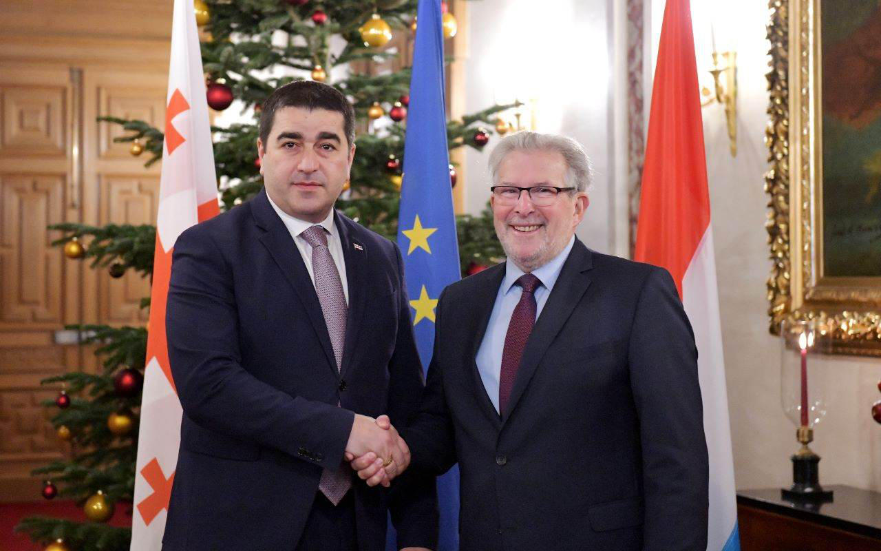 შალვა პაპუაშვილი ლუქსემბურგის წარმომადგენელთა პალატის ვიცე-პრეზიდენტებს შეხვდა