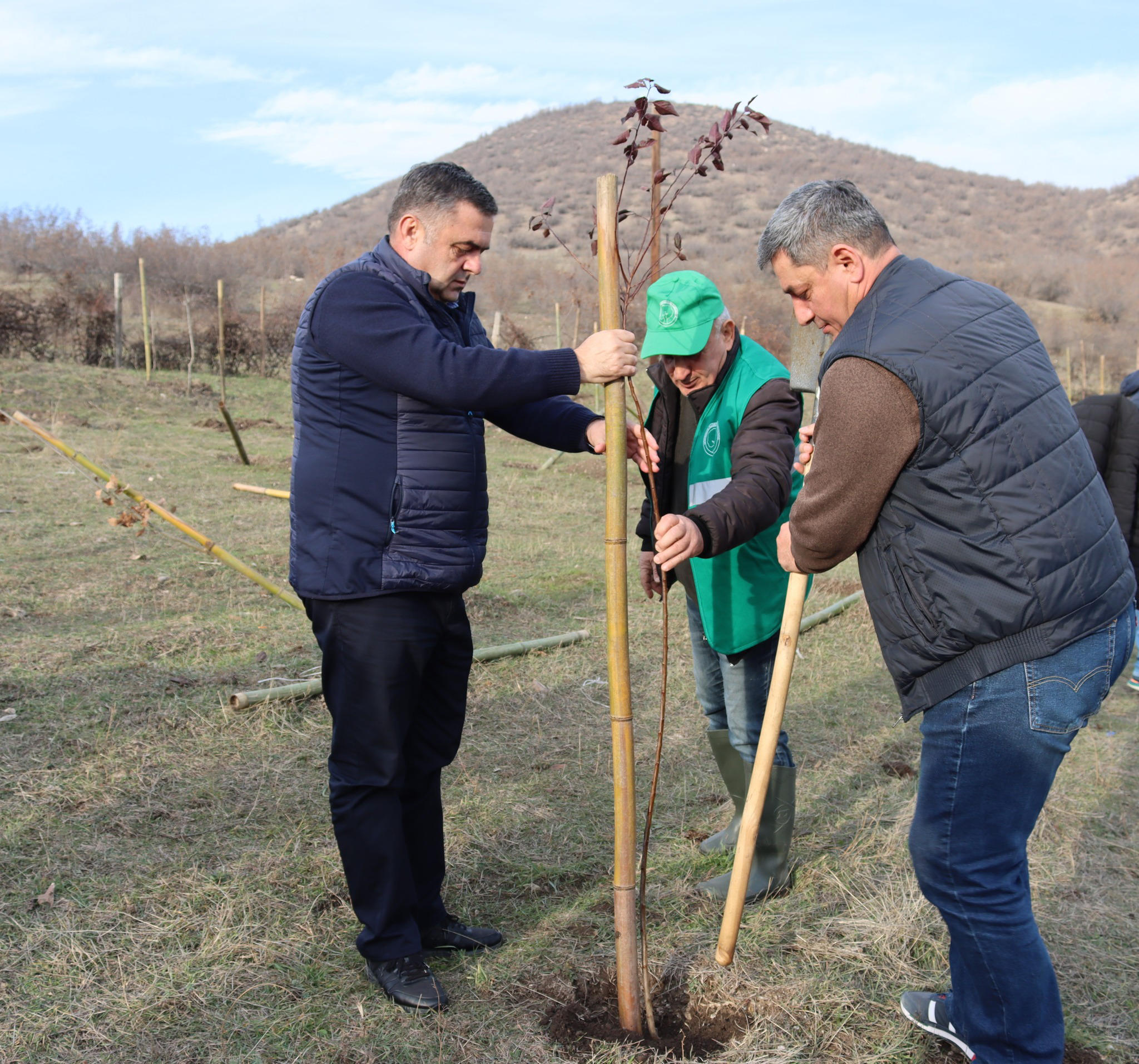 დავით შერაზადიშვილმა ბოლნისში გამწვანების აქციაში მონაწილეობა მიიღო
