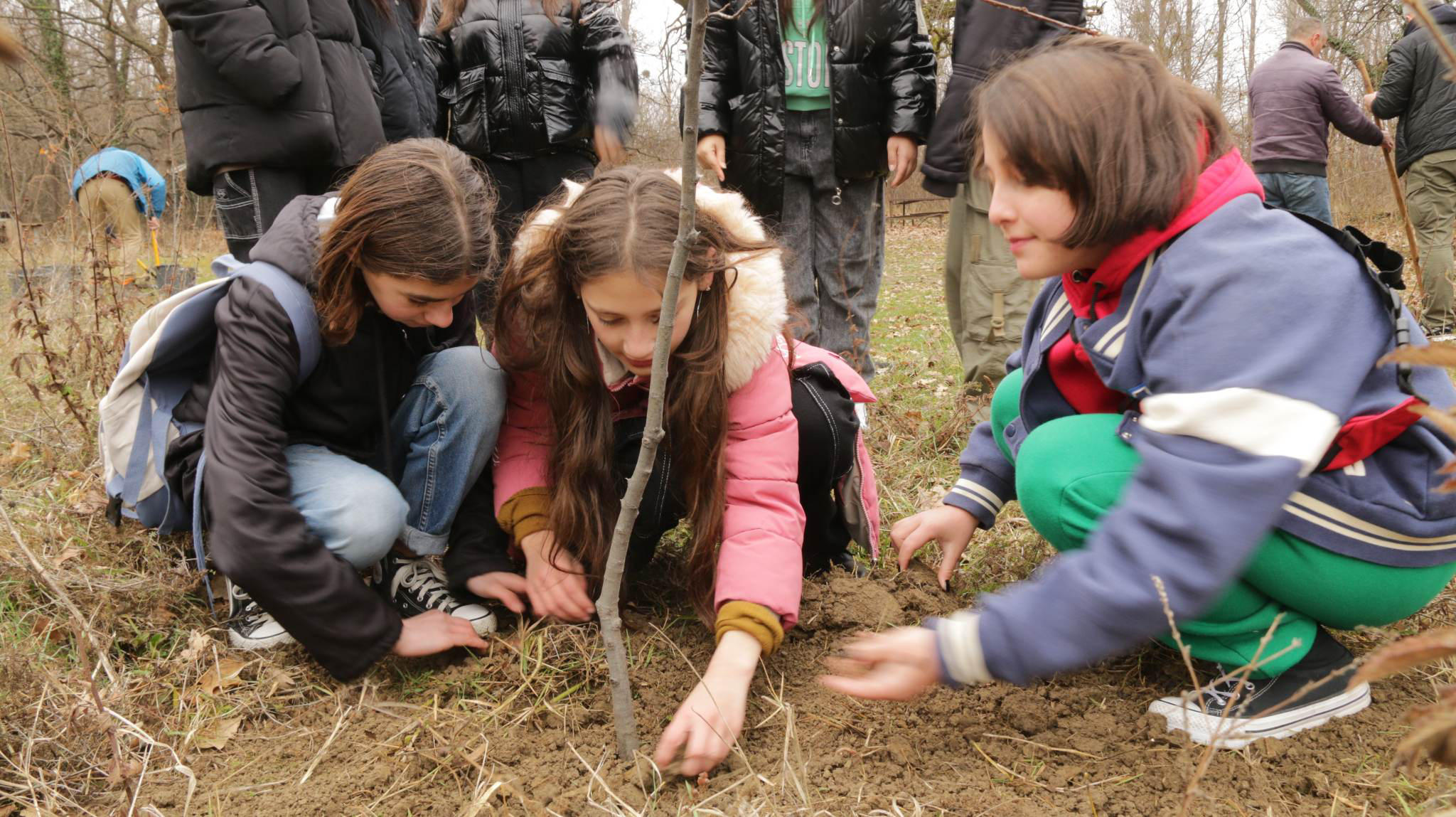 სოფელ წილკანში, პროექტის - “კლიმატის საგანმანათლებლო პროგრამა - სატყეო სკოლა” დასკვნითი ღონისძიება გაიმართა