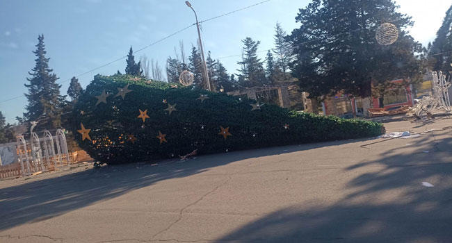 ჩოხატაურში ძლიერი ქარის შედეგად საახალწლოდ მორთული ნაძვის ხე წაიქცა