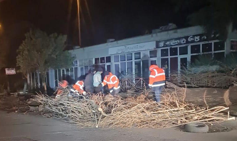 ფოთის მერია - შექმნილია ზარალის შემსწავლელი ჯგუფი, რომელიც უამინდობისგან მიყენებულ ზარალს აღწერს