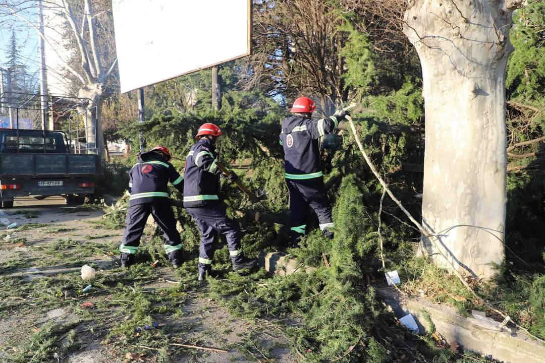 თბილისში, მირცხულავას ქუჩაზე ხე წაიქცა, დაზიანდა ერთი ავტომობილი