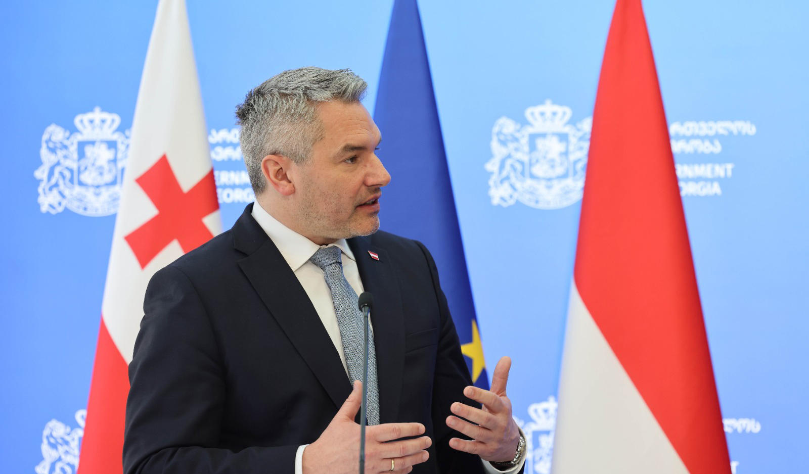 კარლ ნეჰამერი - საქართველო ძალიან სწორი მიმართულებით მიდის, პოლიტიკა შესაძლებლობის ხელოვნებაა, უნდა ვმოძრაობდეთ შესაძლებლობების დერეფანში და ამას საქართველოს მთავრობა აკეთებს