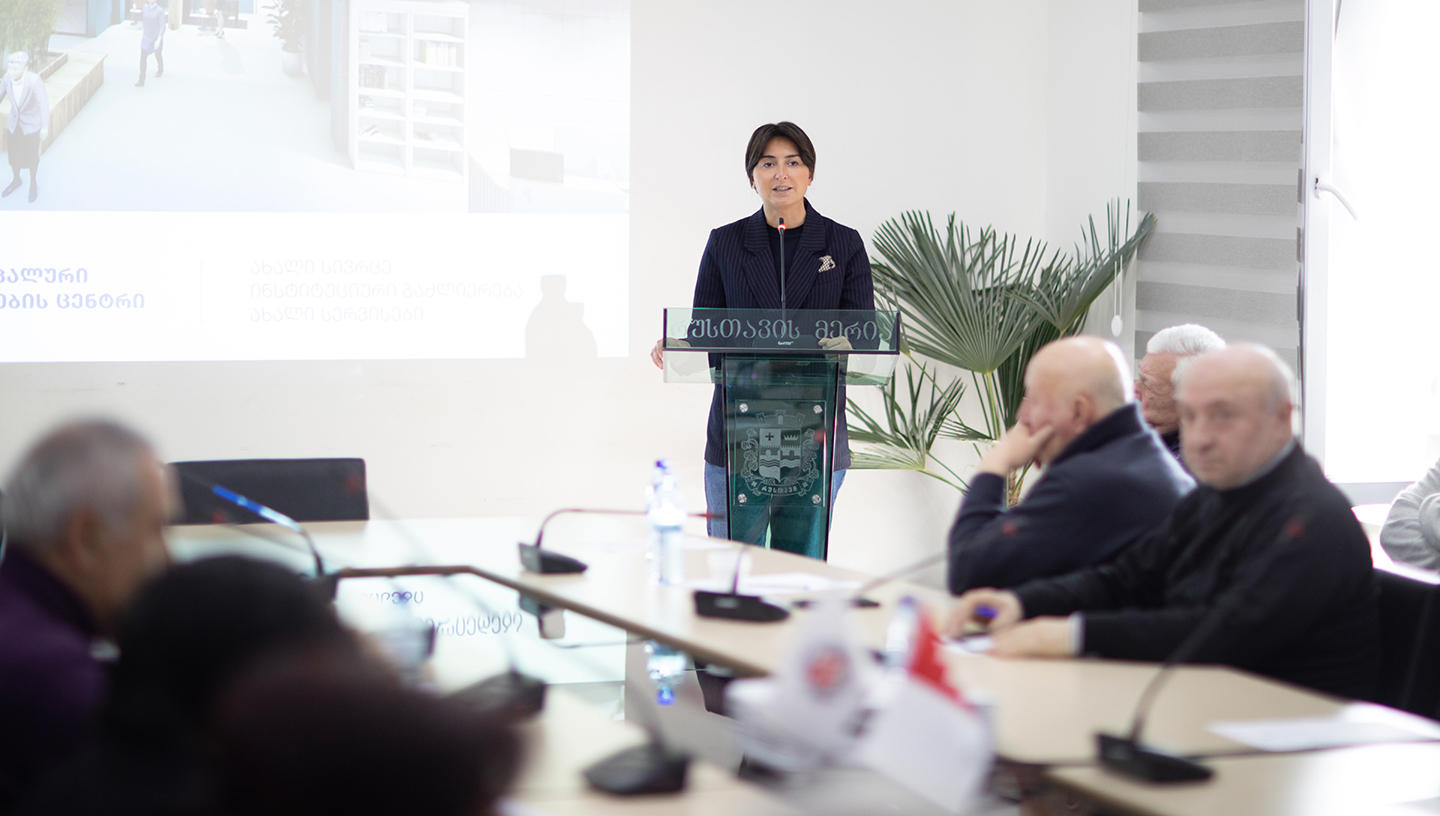 ნინო ლაცაბიძემ სამოქალაქო მრჩეველთა საბჭოს რუსთავის განვითარების ახალი კონცეფცია და 2023 წლის სამუშაო გეგმა წარუდგინა
