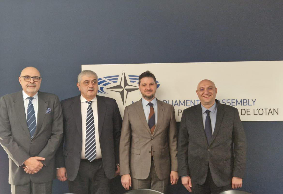 „ევროპელი დემოკრატების“ ლიდერები ნატოს საპარლამენტო ასამბლეაში  შეხვედრებს მართავენ