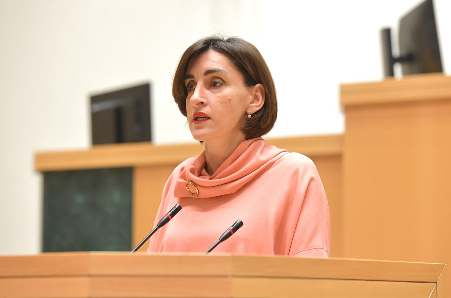 მაკა ბოჭორიშვილი - ტყუილია, თითქოს „ქართულმა ოცნებამ“ ცალმხრივი გადაწყვეტილებით ევროინტეგრაციის პროცესი 2028 წლამდე შეაჩერა - პოლიტიკური დიალოგი საქართველოსთან 2024 წელს ბრიუსელის გადაწყვეტილებით შეჩერდა და არა „ქართული ოცნების“