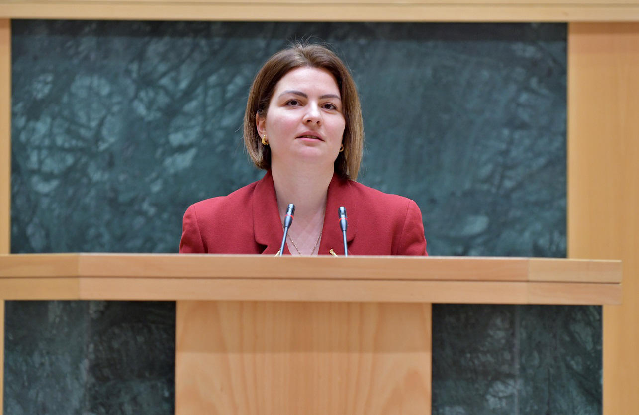 ანა ნაცვლიშვილის ინფორმაციით, პარლამენტის კულტურის კომიტეტს გელათთან დაკავშირებით 2021 წლის 15 იანვრის შემდეგ არანაირი აქტივობა არ ჰქონია