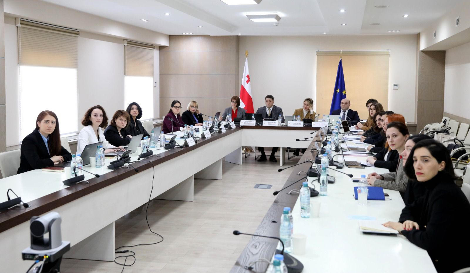 შს მინისტრის მოადგილემ ქალთა მიმართ დისკრიმინაციის ყველა ფორმის აღმოფხვრის შესახებ საქართველოს მე-6 პერიოდული ანგარიშის განხილვაში მონაწილეობა მიიღო