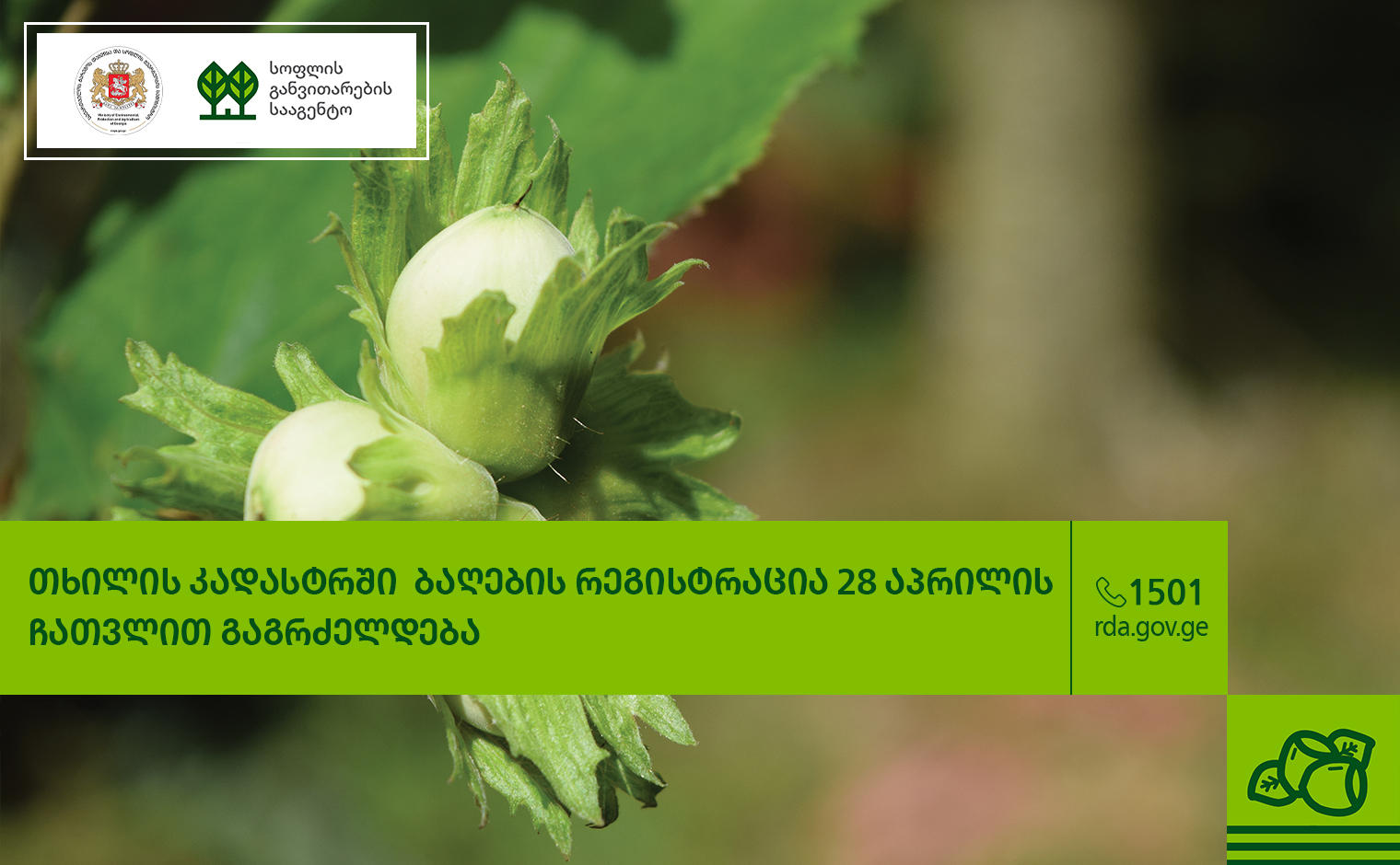 თხილის კადასტრში ბაღების რეგისტრაცია 28 აპრილის ჩათვლით გაგრძელდება