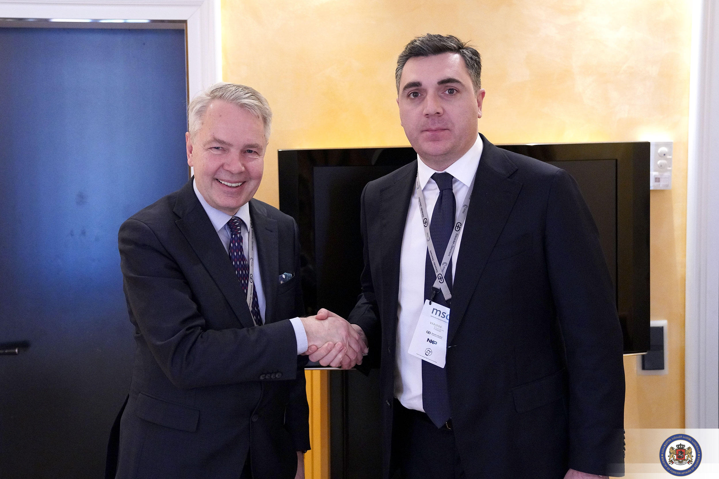 საქართველოს საგარეო საქმეთა მინისტრი ფინელ კოლეგას შეხვდა