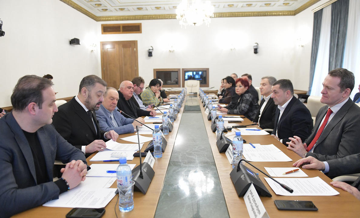 დიასპორისა და კავკასიის საკითხთა კომიტეტისა და თურქეთის პარლამენტთან მეგობრობის ჯგუფის ერთობლივ სხდომაზე გიორგი ჯანჯღავას მოუსმინეს