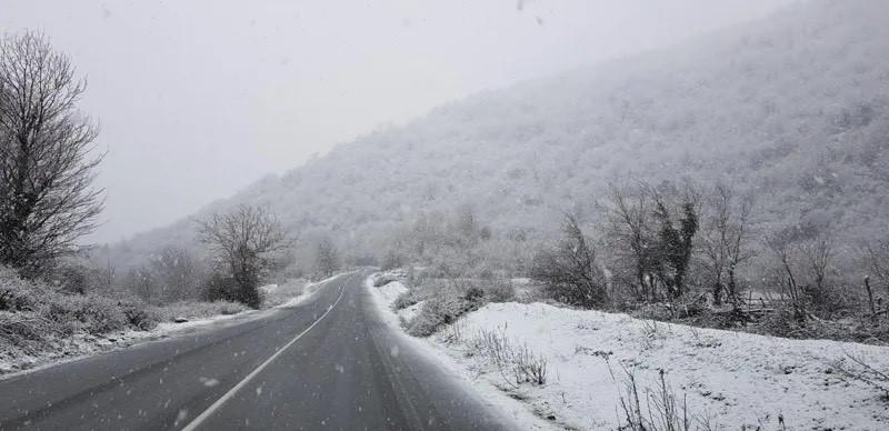 ნაქერალას უღელტეხილზე მსუბუქი ავტოტრანსპორტის მოძრაობა აღდგა