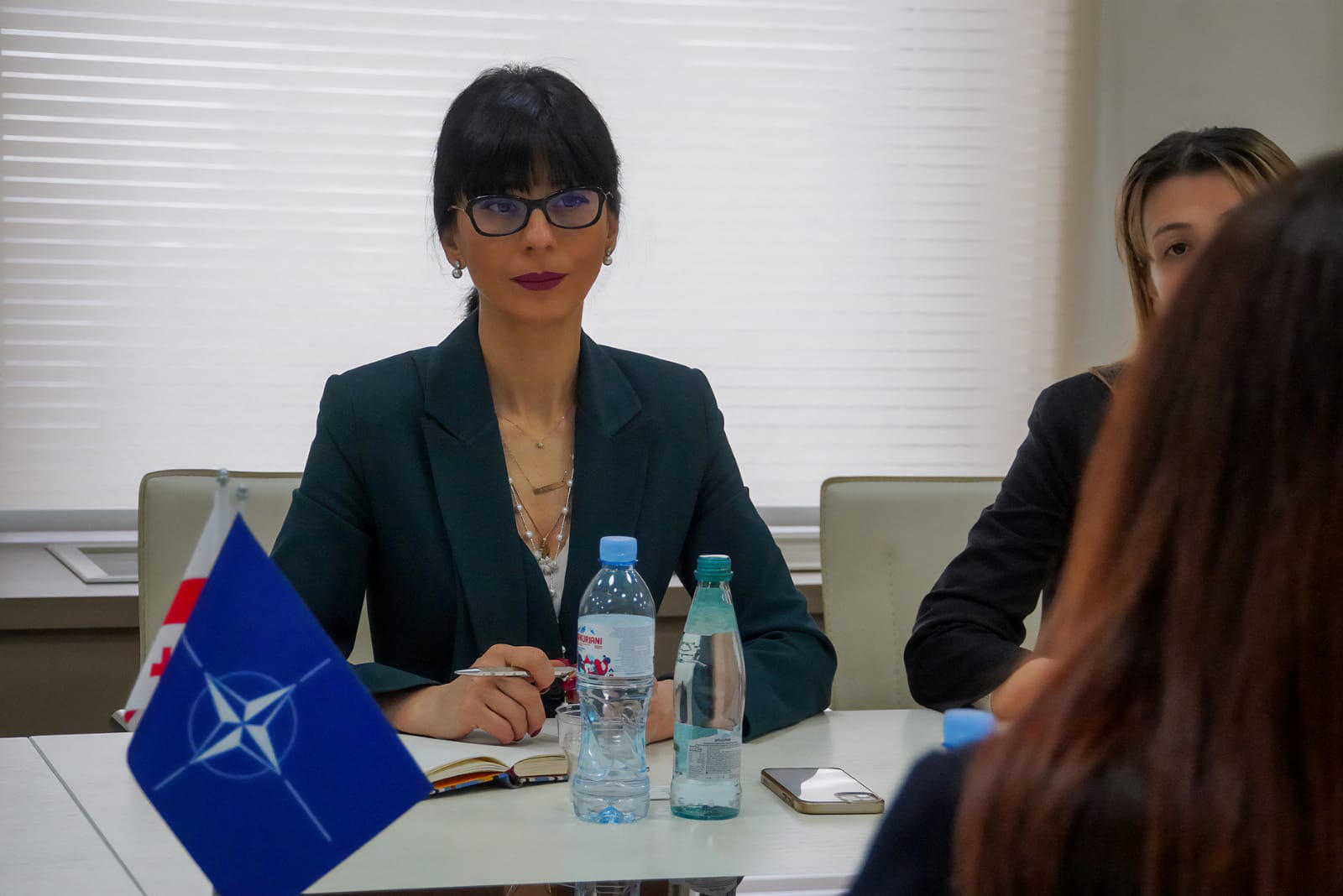 თეა ახვლედიანმა ქალების, მშვიდობისა და უსაფრთხოების საკითხებში ნატო-ს გენერალური მდივნის სპეციალურ წარმომადგენელთან ირენ ფელინთან შეხვედრა გამართა