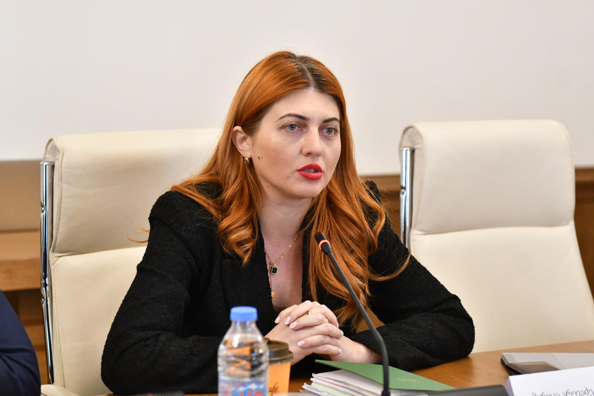 მარიკა არევაძემ ომბუდსმენის შერჩევის მიმდინარე პროცედურების შესახებ კითხვები საჯაროდ დასვა
