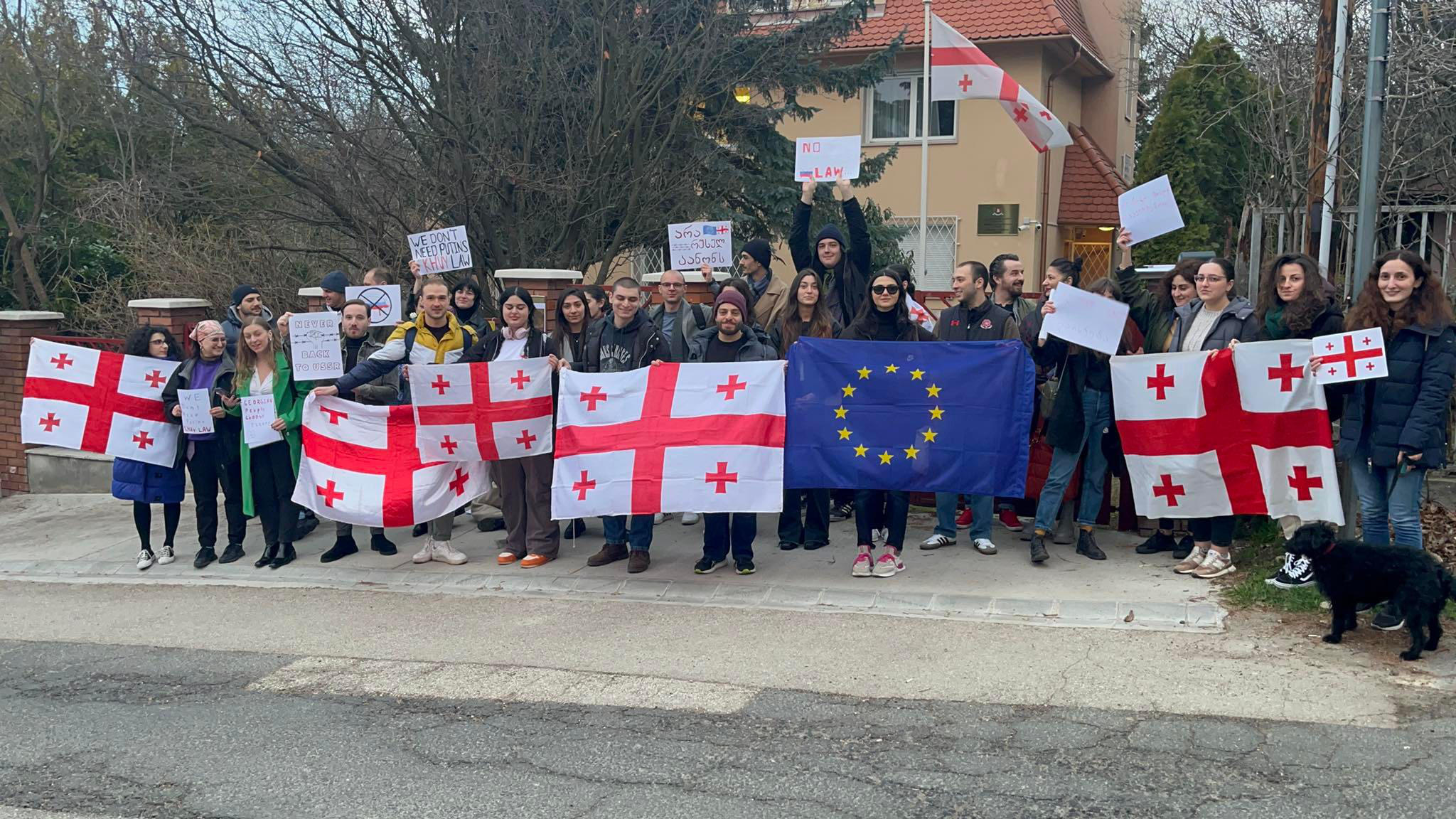 ბუდაპეშტში მცხოვრებმა ქართველებმა, უნგრეთში საქართველოს საელჩოს წინ აქცია გამართეს