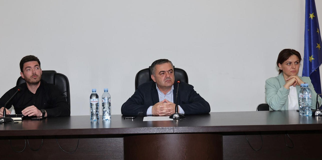 დავით შერაზადიშვილმა ახალგაზრდებთან შეხვედრა გამართა