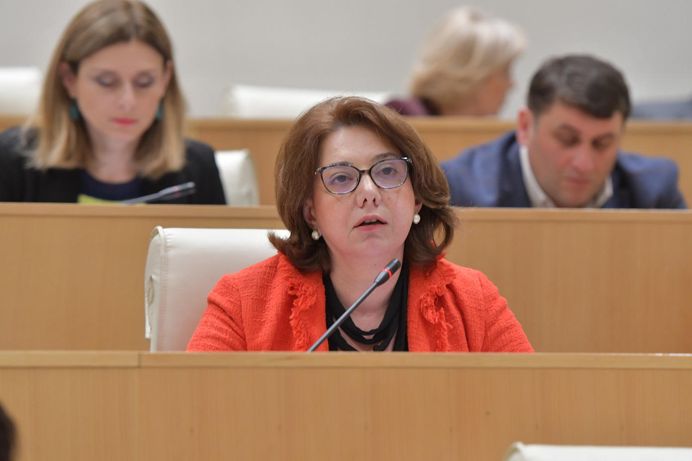სალომე სამადაშვილი უმრავლესობას - თქვენ რომ გქონდეთ რაიმე მორალური კომპასი, მადლობას გადაუხდიდით ბავშვებს, მაგრამ მხოლოდ ის გაიმეტეთ, რომ „ვინა ყრიხართო, ვირები ხართო“