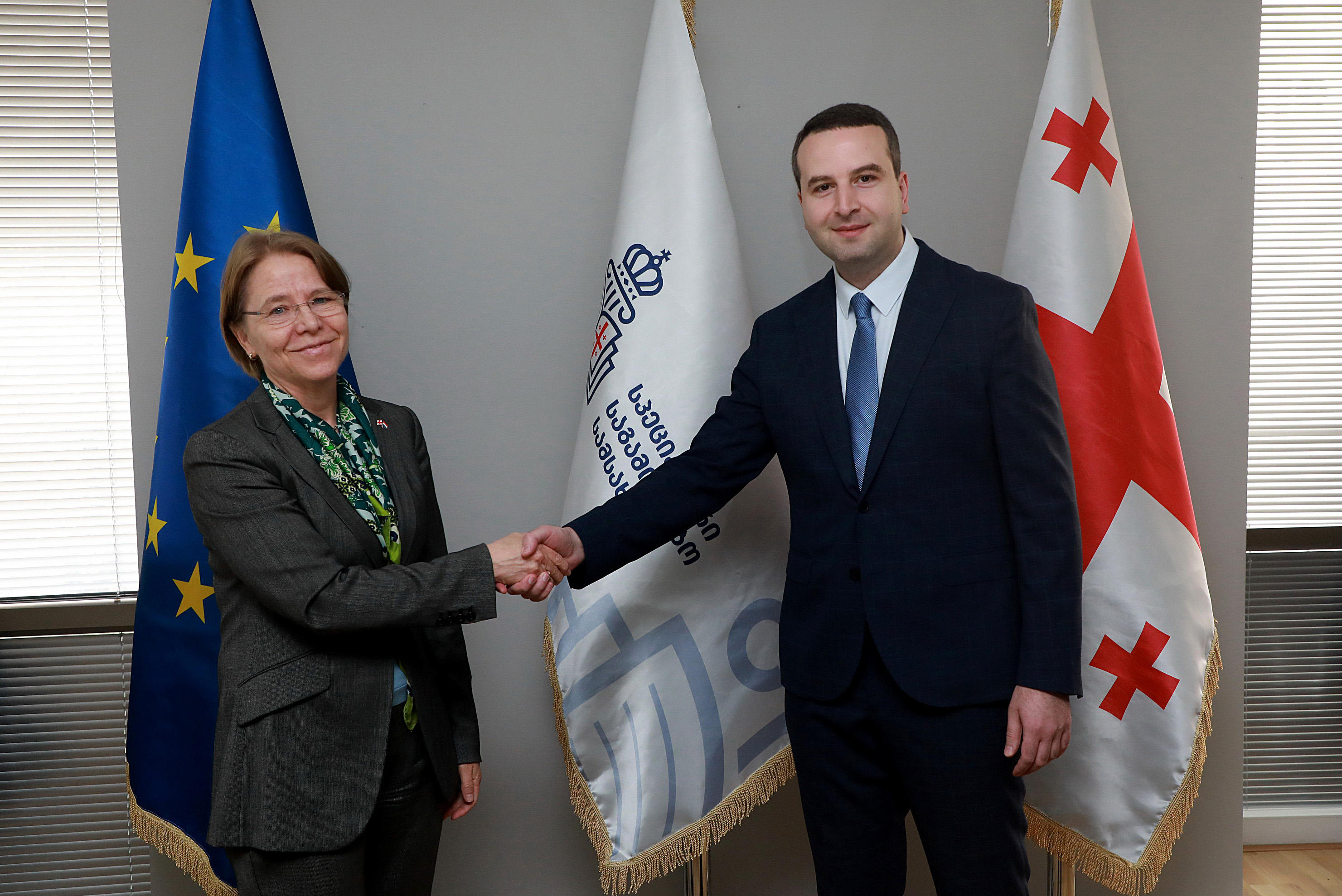 Koka Katsitadze hosted the Ambassador Extraordinary and Plenipotentiary