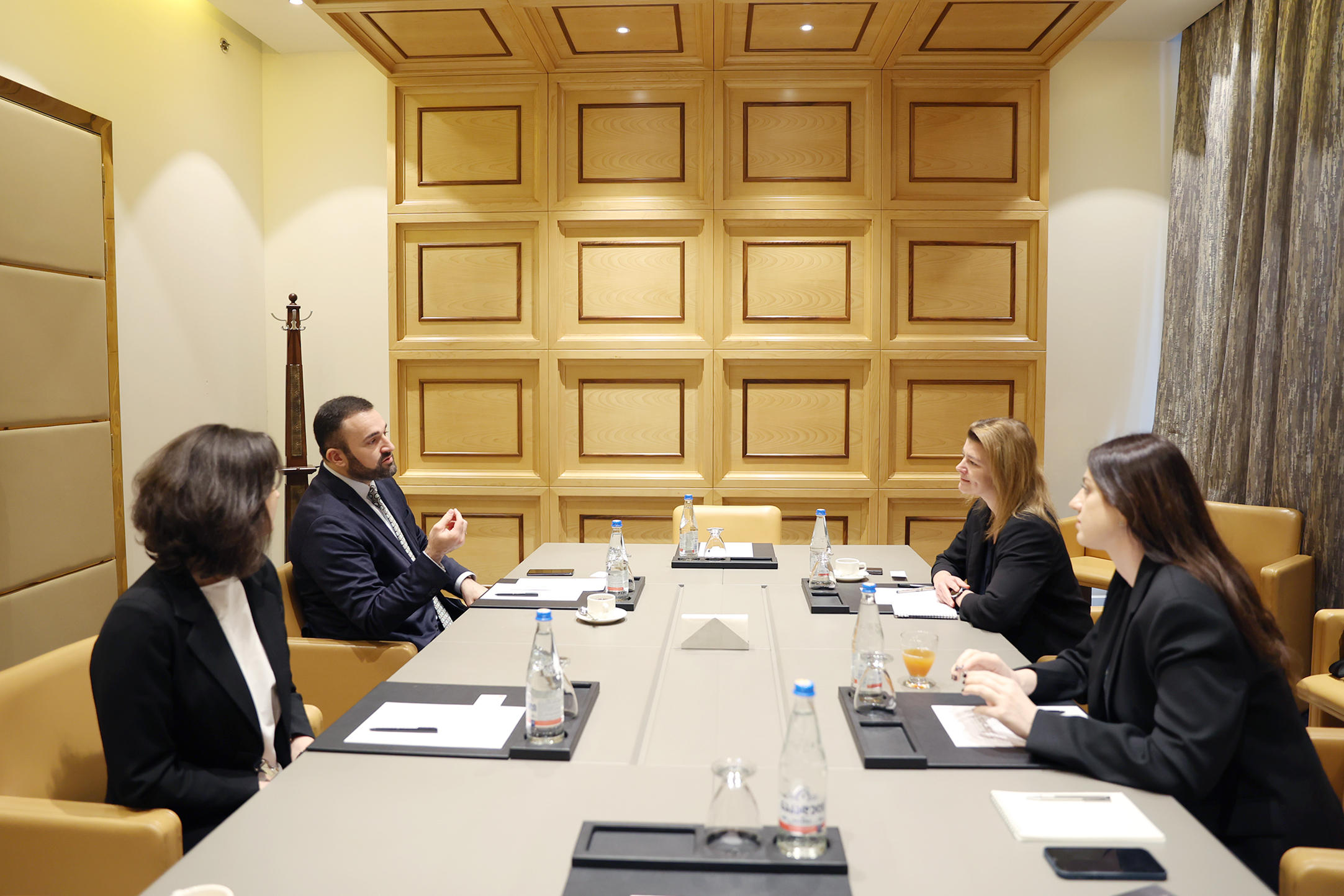 ცესკო-ს თავმჯდომარემ დანიის ელჩთან გაცნობითი ხასიათის შეხვედრა გამართა